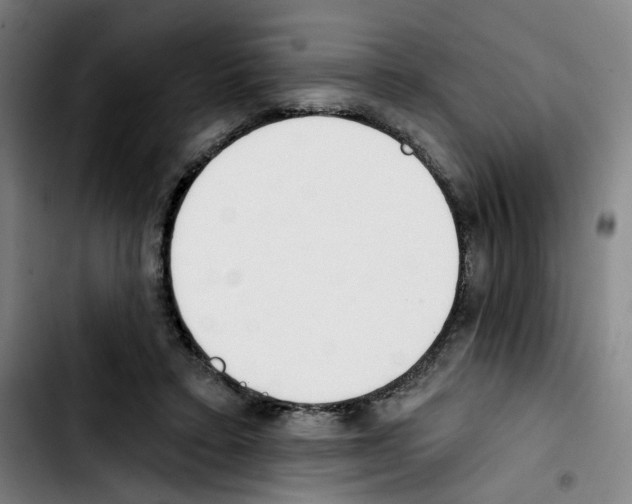 X0000103420403200810241039