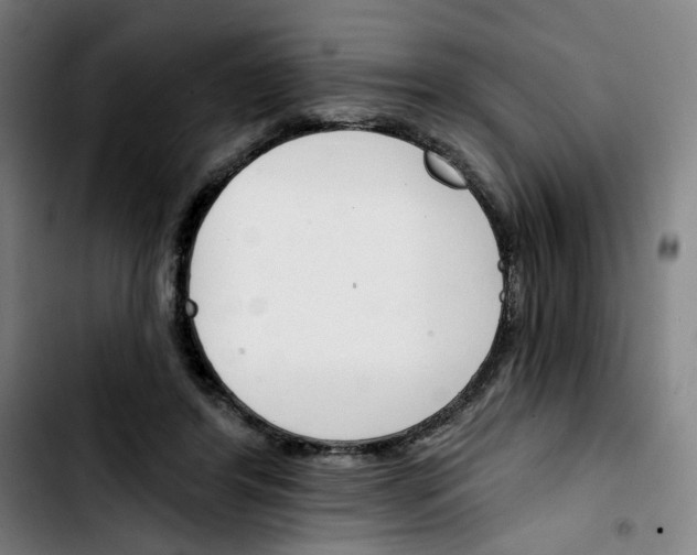X0000103420404200810241039