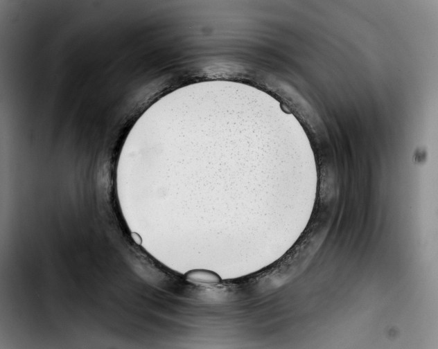 X0000103420405200810241039