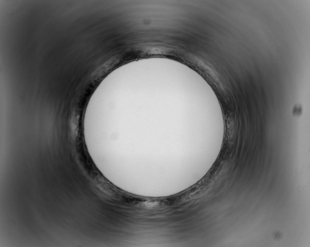 X0000103420406200810241039