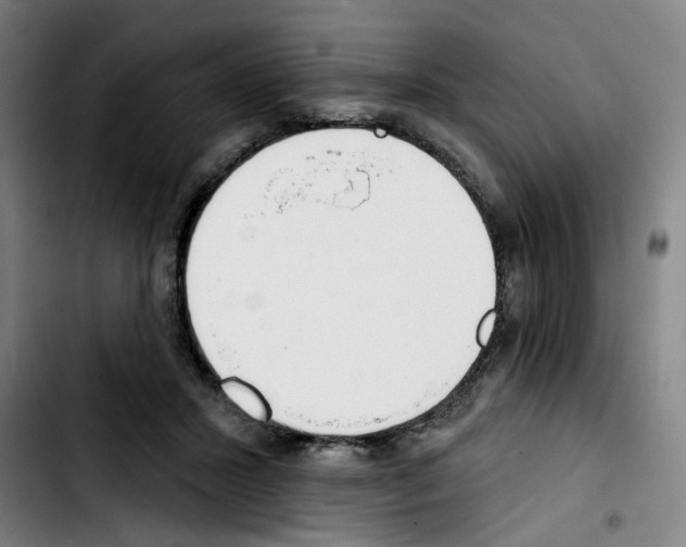 X0000103420407200810241039