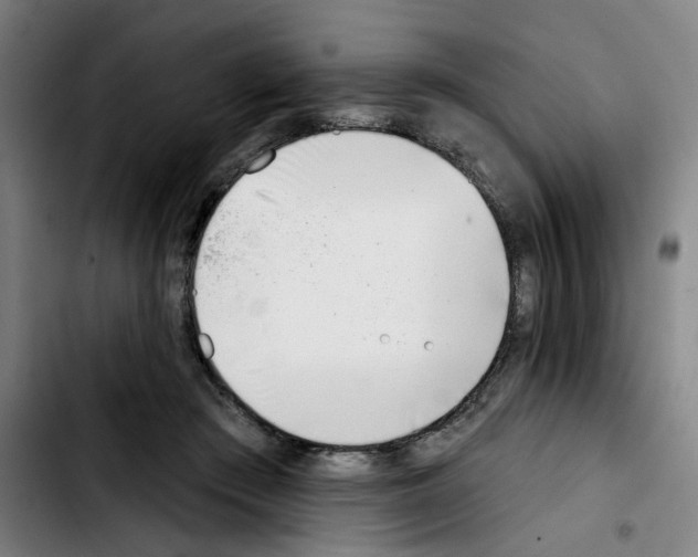 X0000103420409200810241039