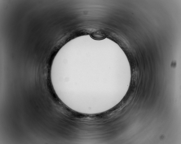 X0000103420412200810241039