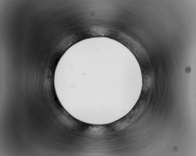 X0000103420414200810241039