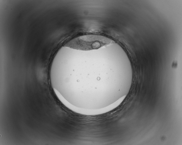 X0000103420415200810241039