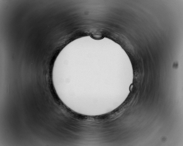 X0000103420416200810241039