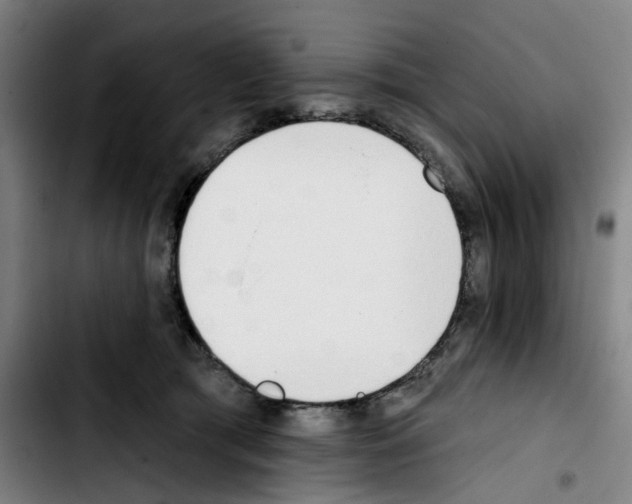 X0000103420417200810241039