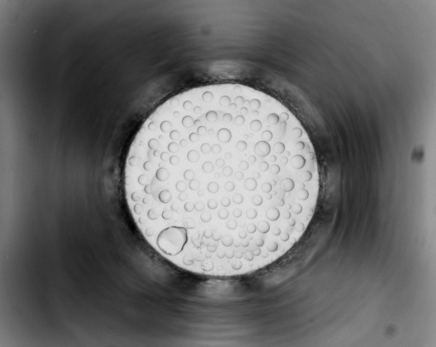 X0000103420418200810241039