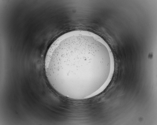 X0000103420419200810241039