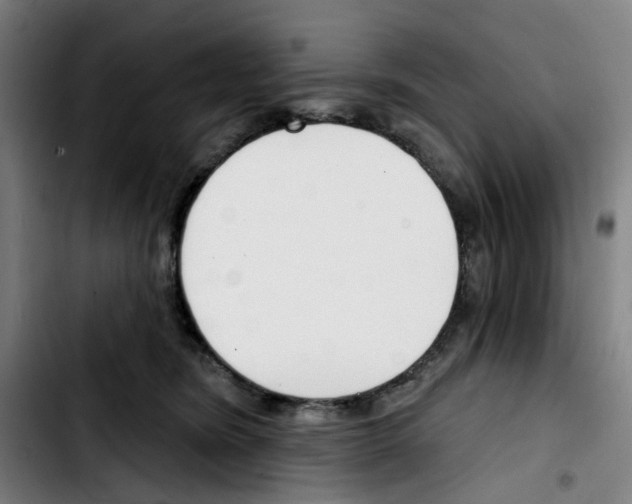 X0000103420420200810241039
