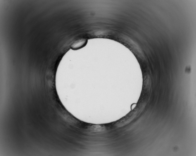 X0000103420421200810241039