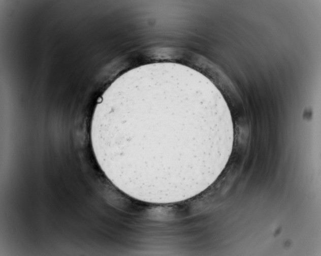 X0000103420422200810241039