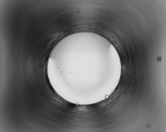 X0000103420423200810241039