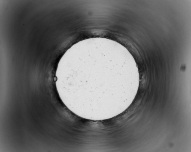 X0000103420424200810241039