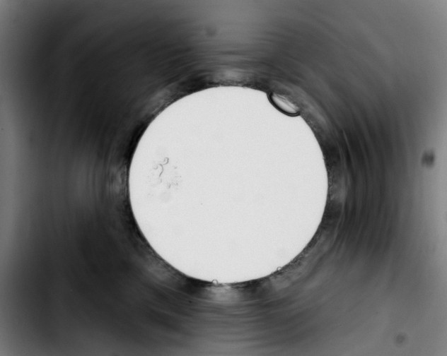 X0000103420425200810241039