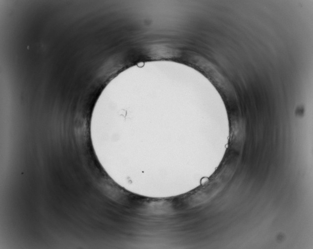 X0000103420426200810241039