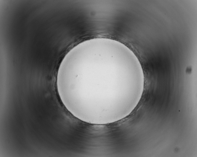 X0000103420427200810241039
