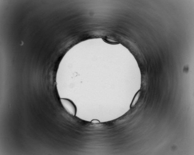 X0000103420428200810241039
