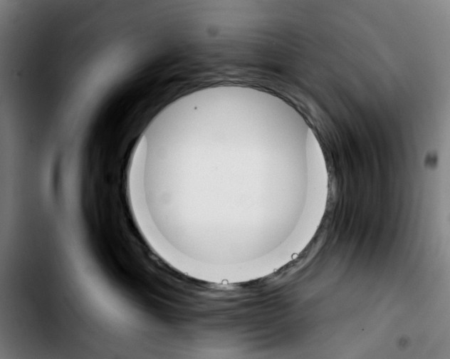 X0000103420429200810241039