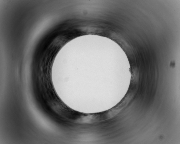 X0000103420430200810241039