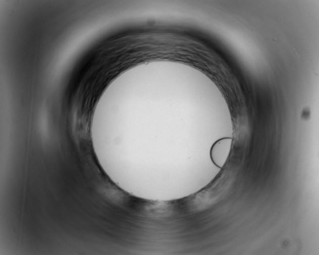X0000103420431200810241039