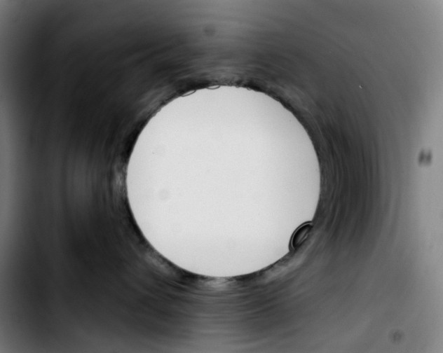 X0000103420432200810241039