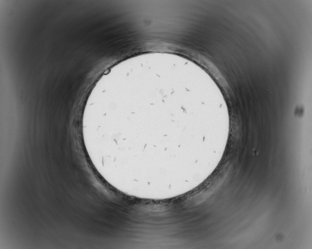 X0000103420433200810241038