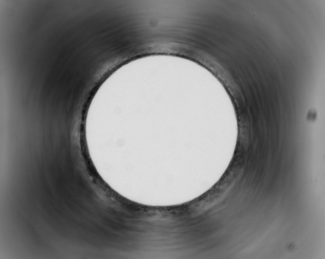 X0000103420434200810241038