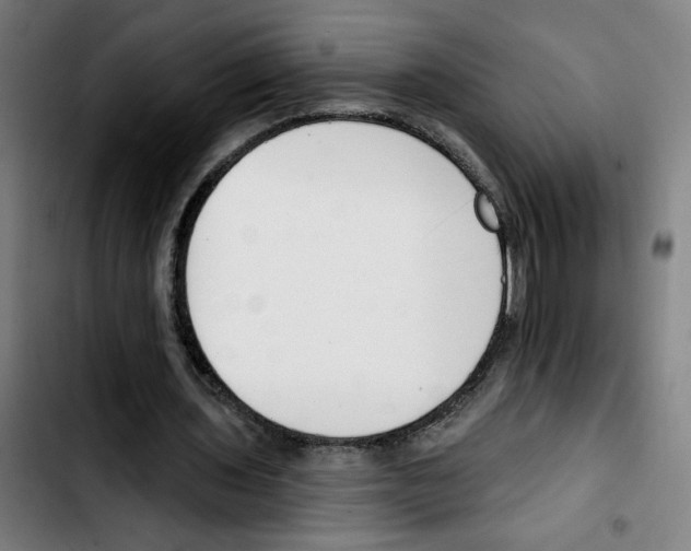 X0000103420435200810241038