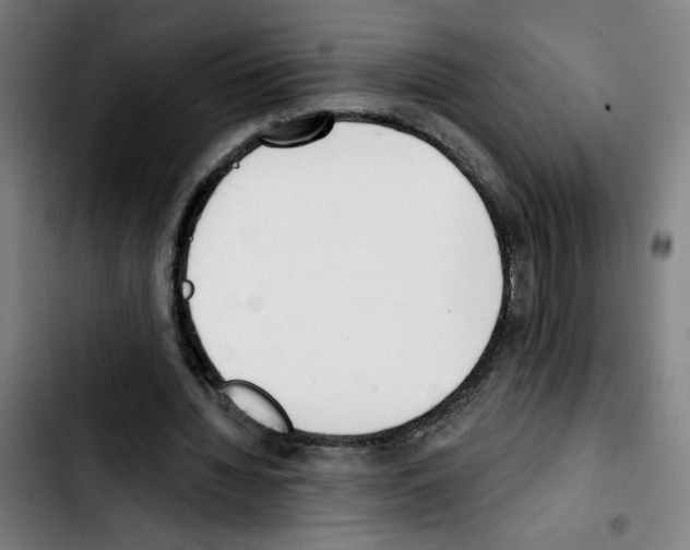 X0000103420436200810241038