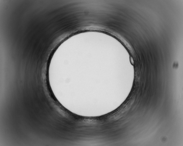 X0000103420437200810241038
