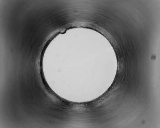 X0000103420438200810241038