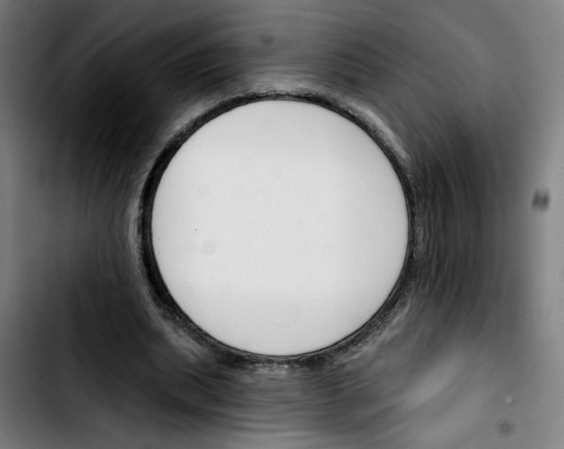 X0000103420439200810241038