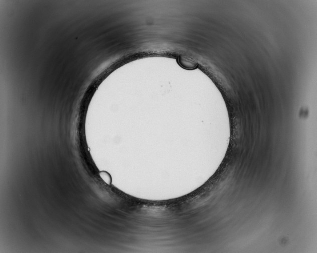 X0000103420440200810241038