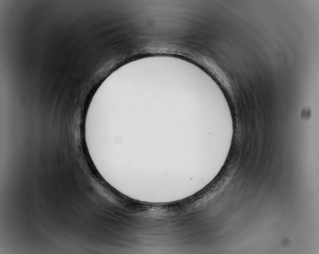 X0000103420441200810241038
