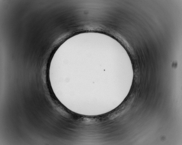 X0000103420442200810241038