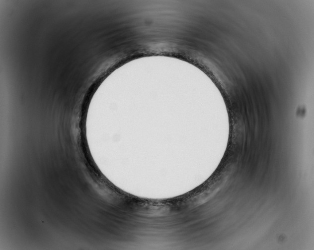 X0000103420443200810241038