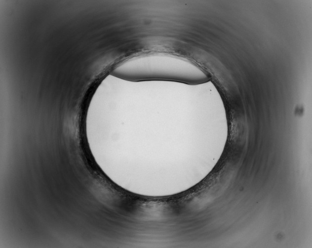 X0000103420444200810241038