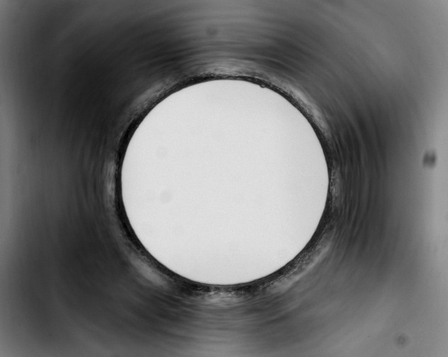 X0000103420445200810241038
