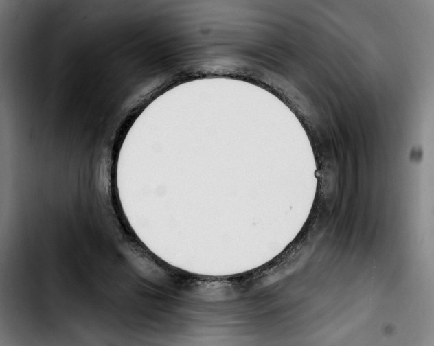X0000103420446200810241038