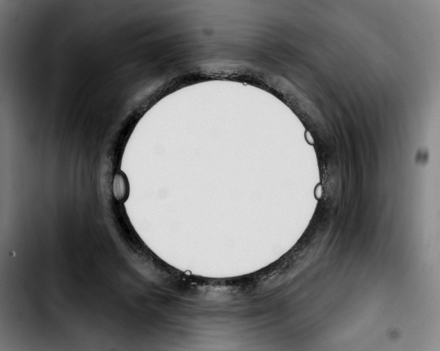 X0000103420448200810241038
