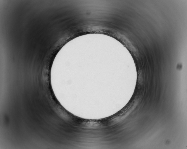 X0000103420449200810241038