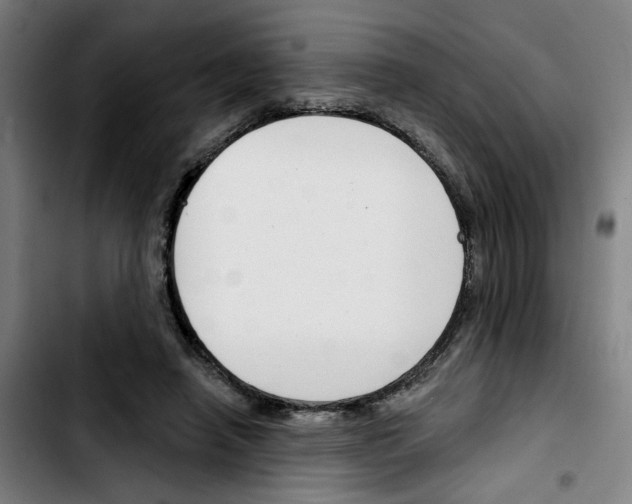 X0000103420450200810241038