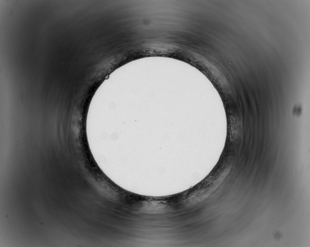 X0000103420451200810241038