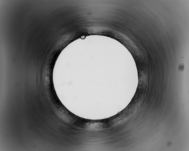 X0000103420452200810241038