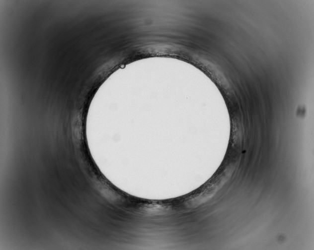 X0000103420453200810241038