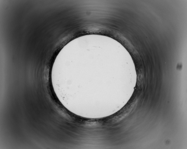 X0000103420454200810241038