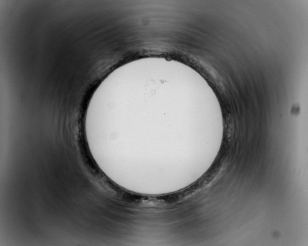 X0000103420455200810241038