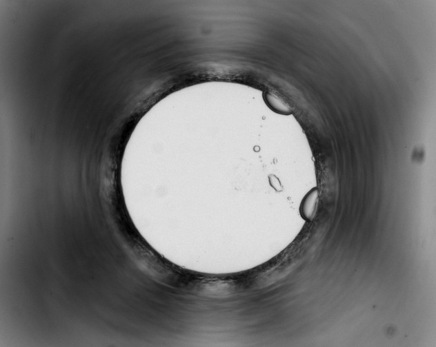 X0000103420456200810241038