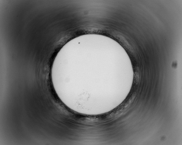 X0000103420458200810241038